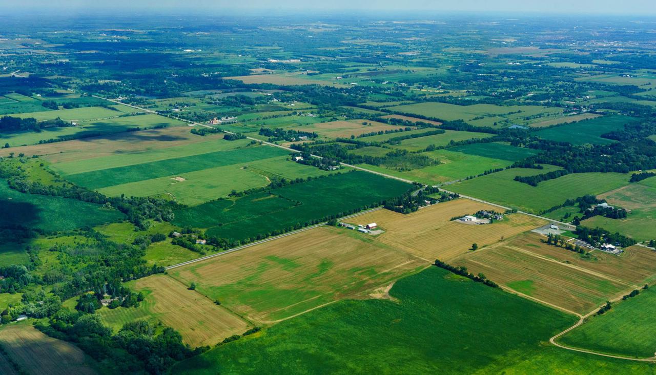 Instagram, blessures, poursuites et agrotourisme : l'Ontario légifère